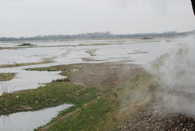 DSC_6624.jpg