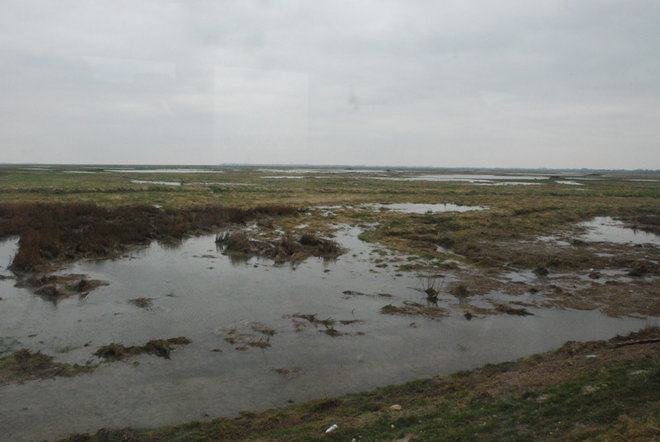 DSC_6656.jpg