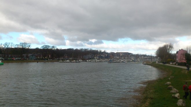 DSC_2423.jpg