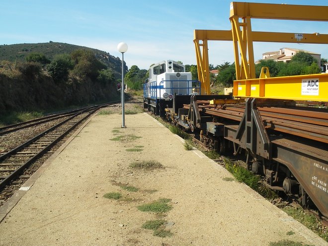 IMGP7941.JPG