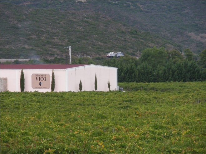 IMGP8058.JPG