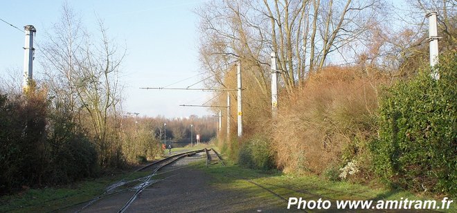 DSC03594.JPG