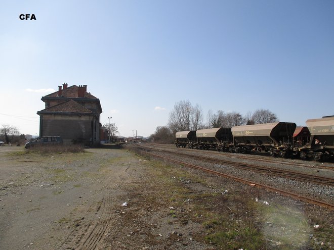 IMG_3485.jpg1.jpg