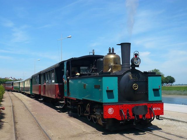 bs 11.jpg