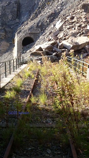 DSC_0031_PhotoRedukto.jpg