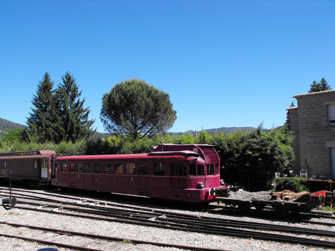 DSCF3117.JPG