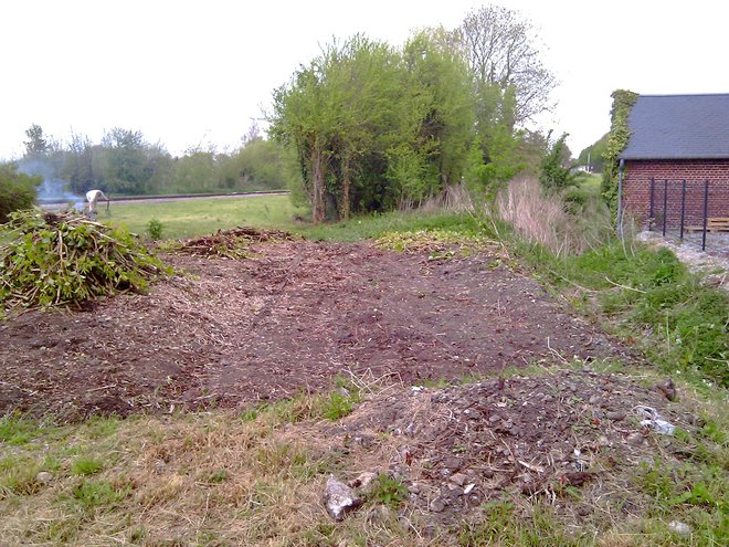 IMAG0424.jpg