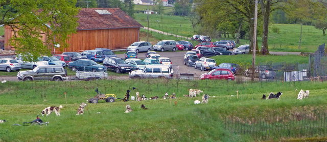 UXEGNEY 2015 2.jpg