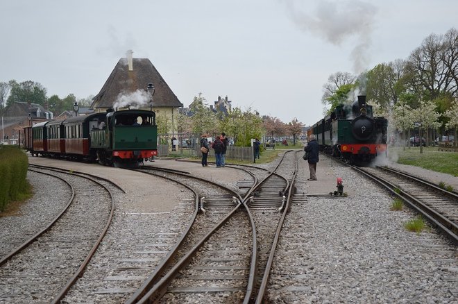 DSC_0902.JPG