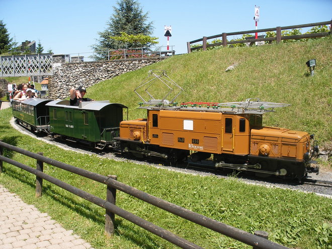 DSCF5550.JPG