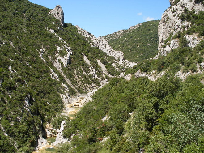 DSCF5805.JPG