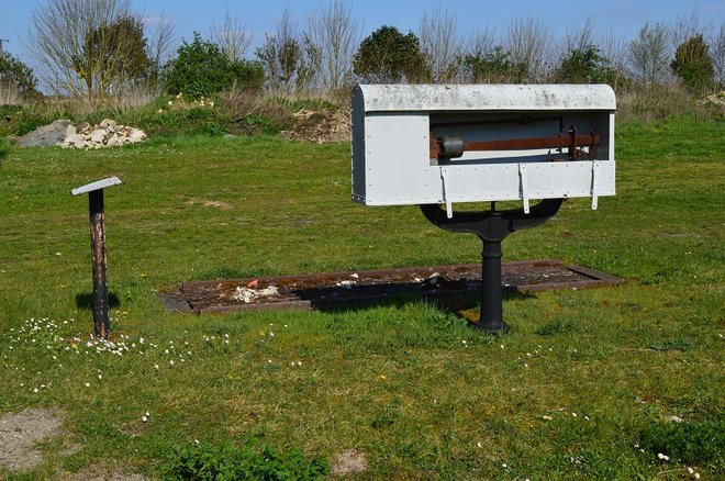 DSC_0698.JPG