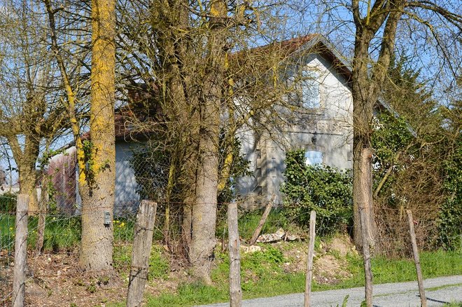 DSC_0707.JPG