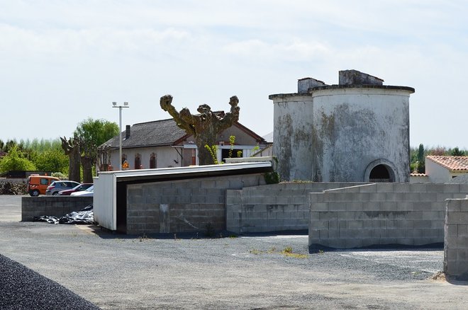 DSC_0815.JPG
