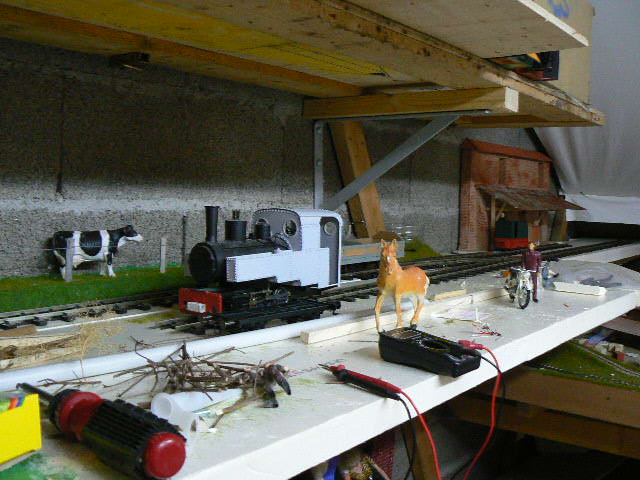 P1130588.JPG