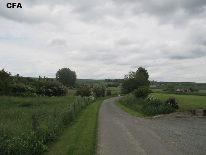 IMG_4447.jpg1.jpg