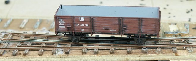 P5150946.JPG