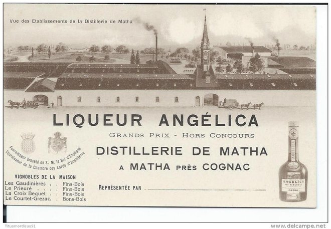 MATHA Angelica.jpg