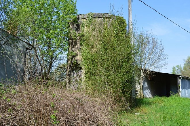 DSC_0723.JPG