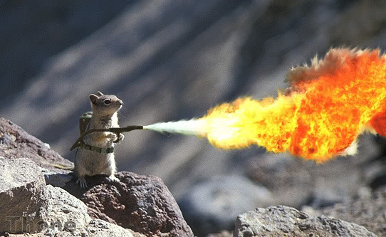 SquirrelFlameThrower.jpg