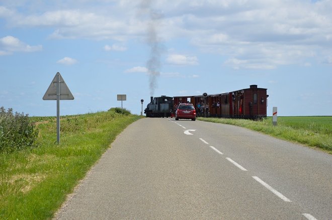 DSC_1100.JPG