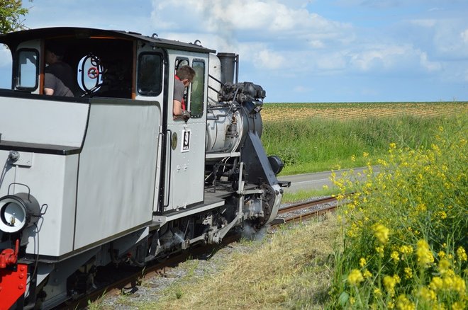DSC_1163.JPG