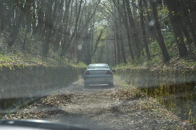 DSC_0754.JPG