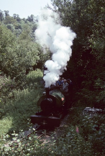 1995-0765.TIF.jpg