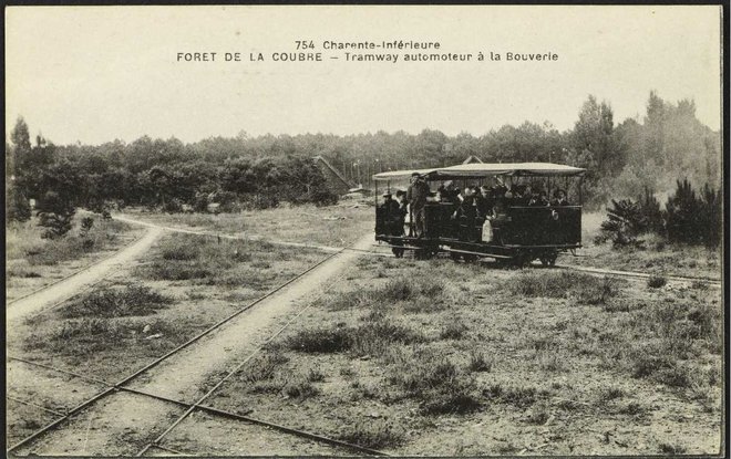 17 - Forêt de la Coubre.JPG