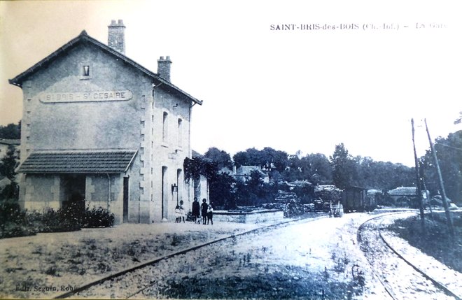 STBRIS 004.jpg