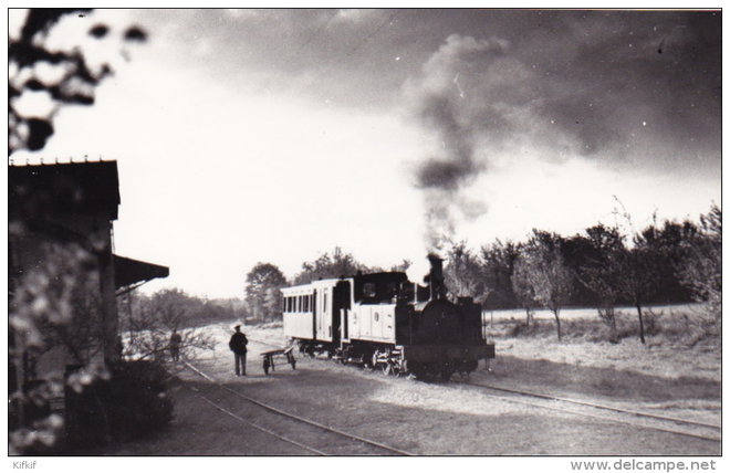 train vapeur.jpg