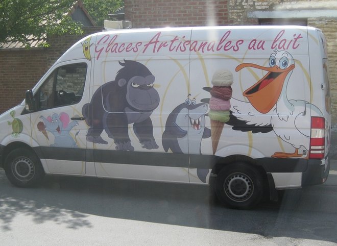 glace pelican.jpg