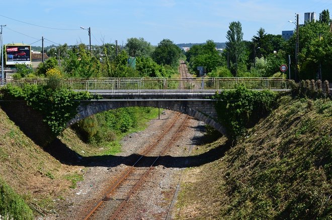 DSC_1205.JPG