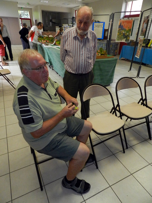 Expo Theneuille 2015 (41).JPG