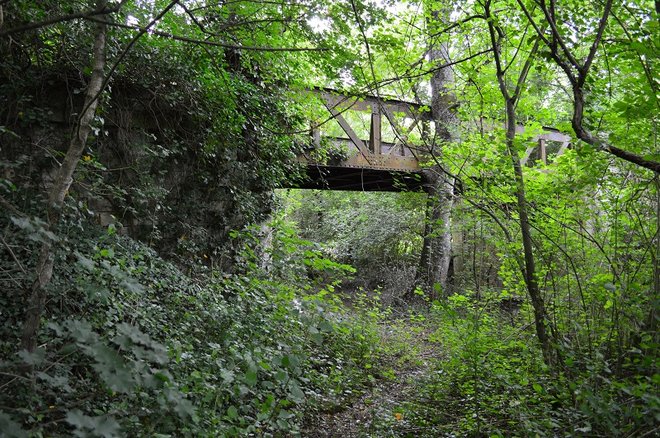 DSC_1264.JPG