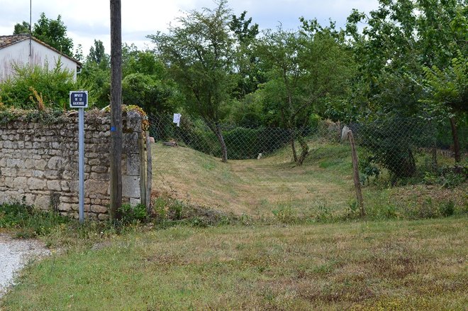 DSC_1271.JPG