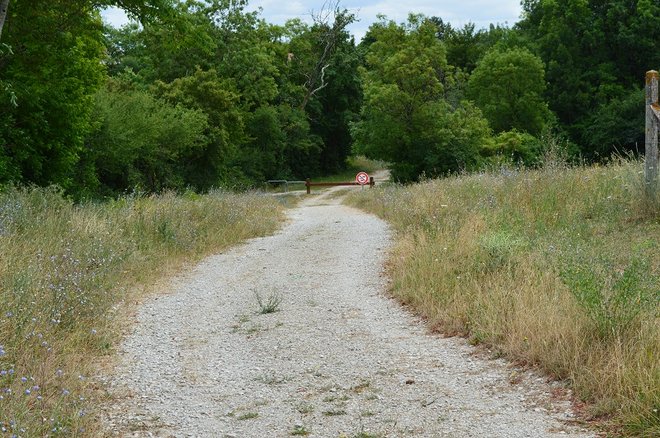 DSC_1276.JPG