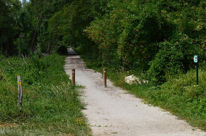 4 DSC_1330.JPG