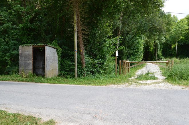 5 DSC_1329.JPG