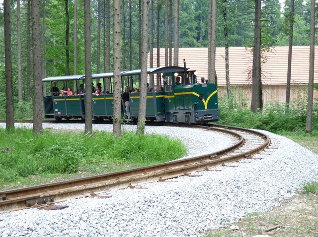 FLM03.JPG