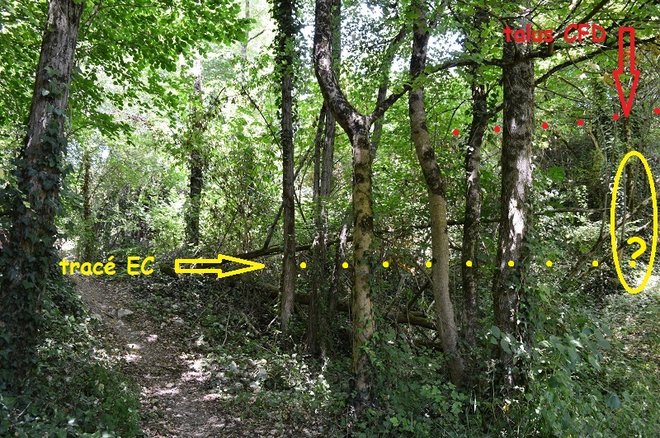 DSC_1380.JPG