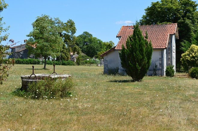 DSC_1384.JPG
