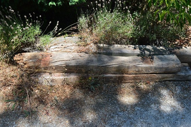 DSC_1387.JPG