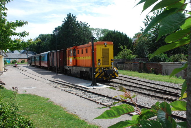 DSC_8077.jpg