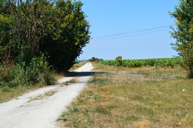 DSC_1389.JPG