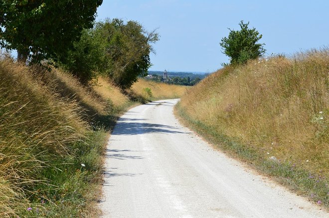 DSC_1391.JPG