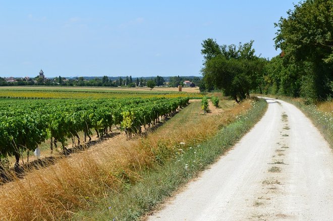 DSC_1392.JPG