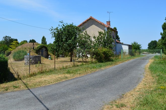 DSC_1393.JPG