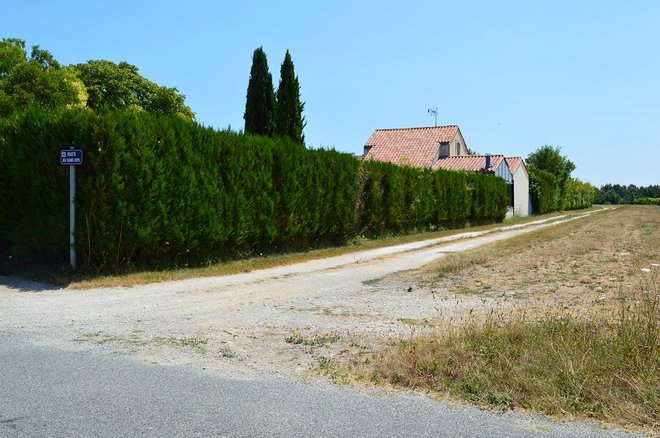 DSC_1399.JPG