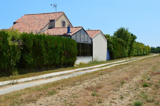 DSC_1401.JPG